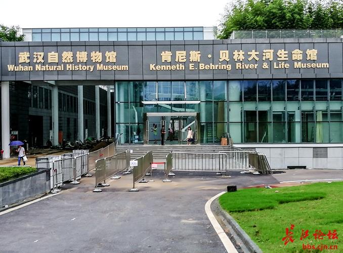 武汉自然博物馆贝林大河生命馆即将正式开馆
