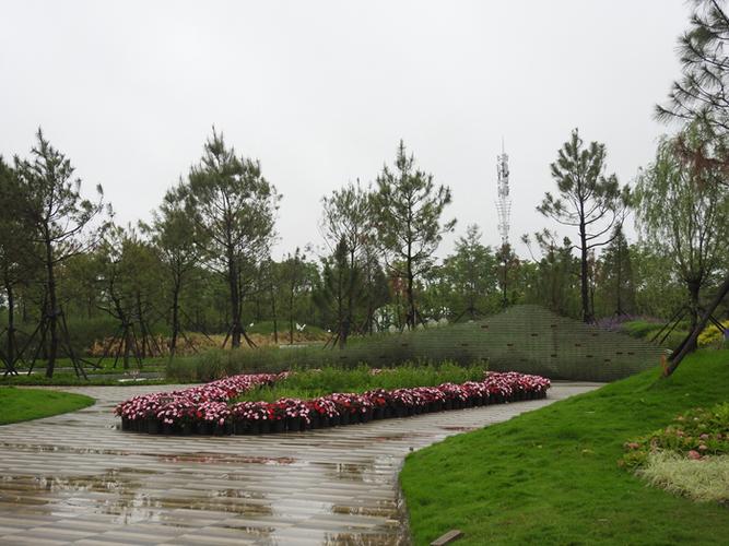 【原创】过黑龙江园(第二次崇明花博园游15.50)