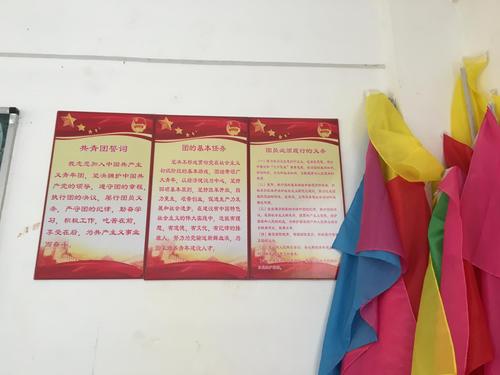 高要区河台镇初级中学团校