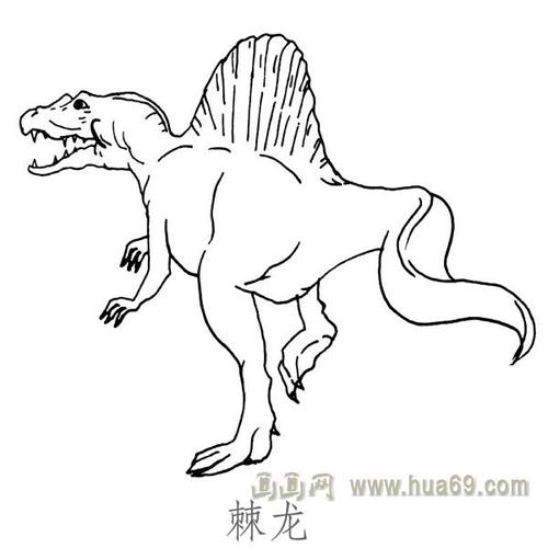 儿童简笔画恐龙:棘龙