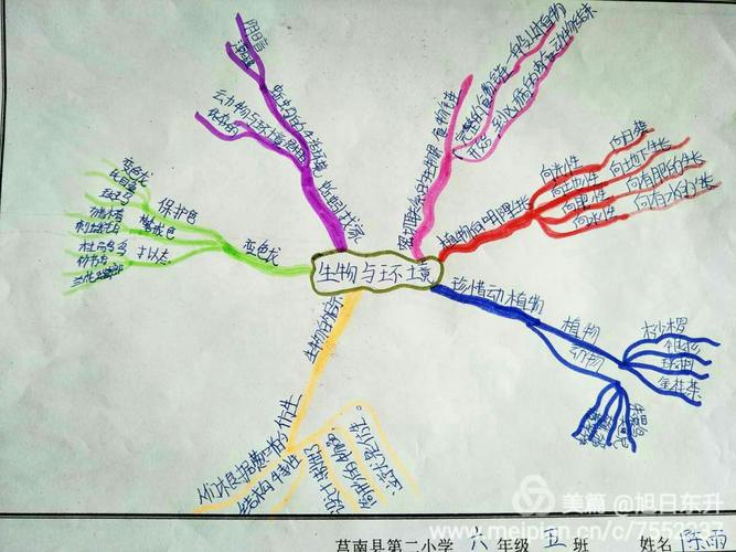 发散思维,高效课堂