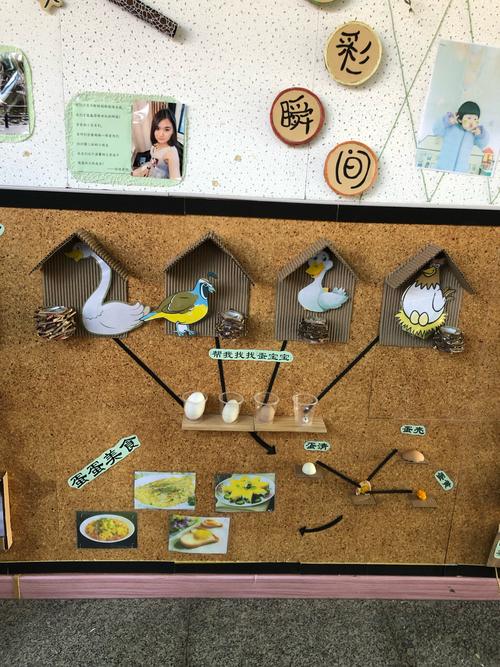 主题墙上来对话-大学城幼儿园环境创设评比