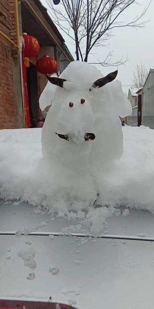 今年聊城首雪看看哪里下得大