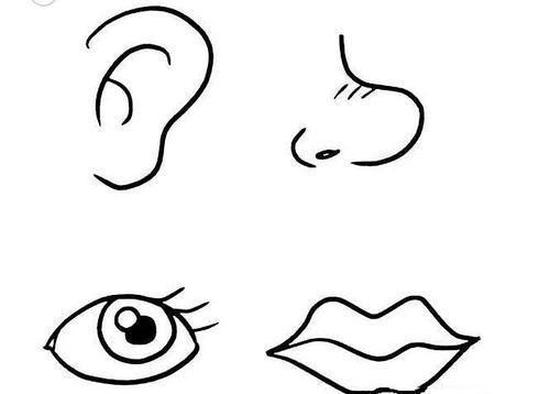 鼻子流鼻涕简笔画耳朵简笔画眼睛简笔画嘴唇简笔画鼻子简笔画图片第2
