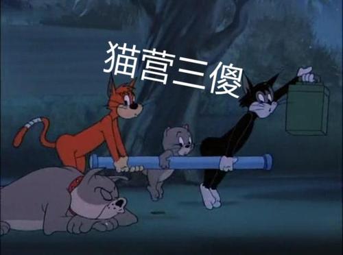 托普斯小短腿hhh