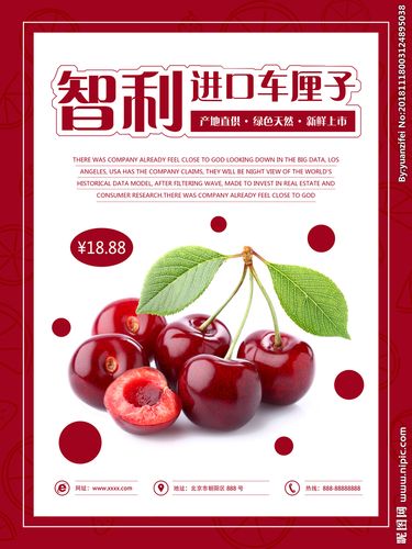 车厘子海报素材图片