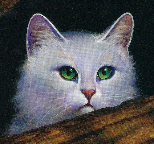 蛾飞是一只雪白的短毛母猫,拥有绿色眼睛,她发现了月亮石,是《猫武士