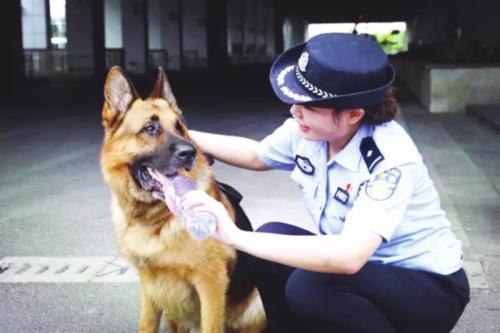 警花与警犬樱桃的头像