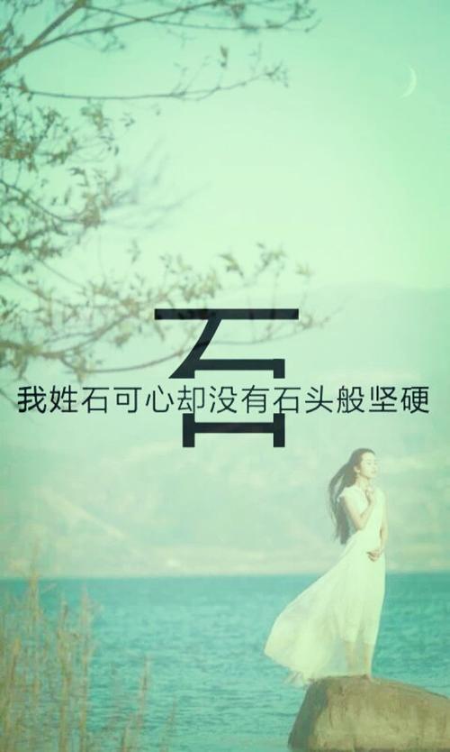 我姓石,但你不懂我的坚强