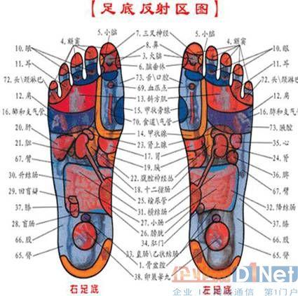 脚部位名称图解 脚的各个部位详细图_脚底板部位名称