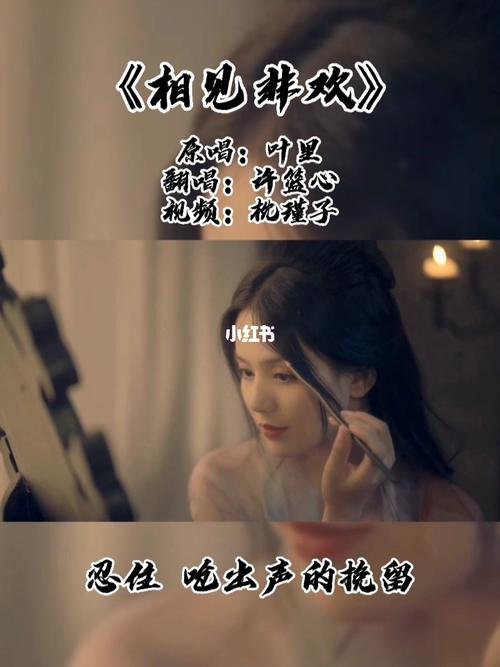 一颗狼星《相见非欢》_stx海景花园攻略_海景_古风歌曲_歌曲_翻唱