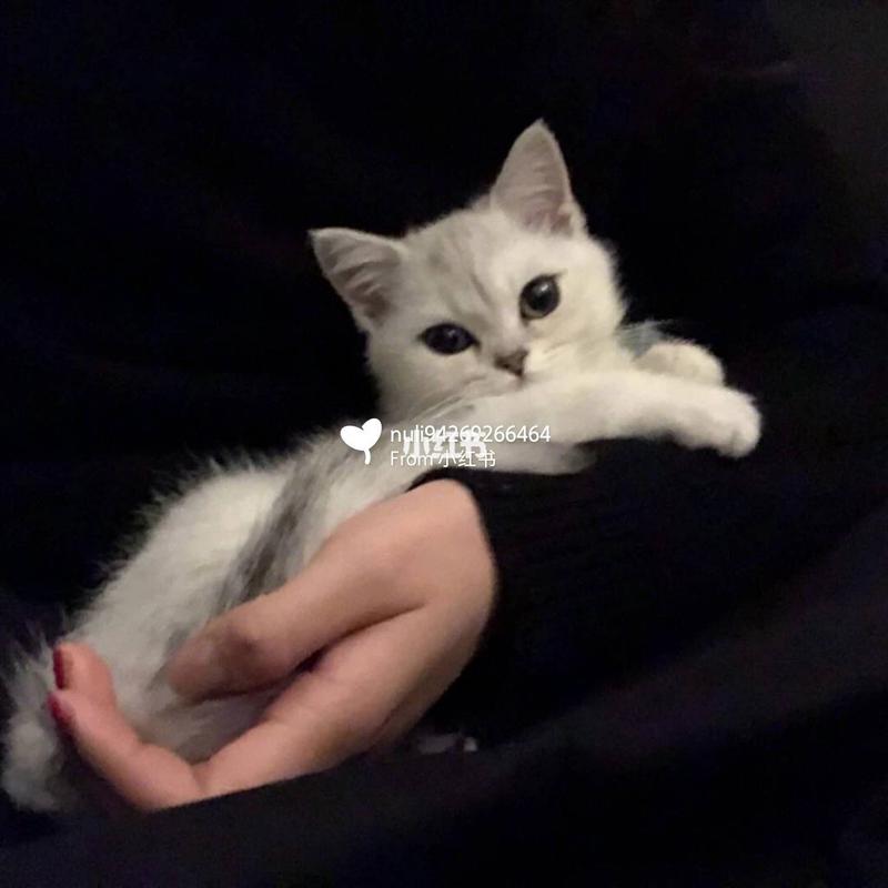 今日份情侣头像更新~ 萌娃情侣头像 超可爱萌娃 闺蜜头像 女生头像