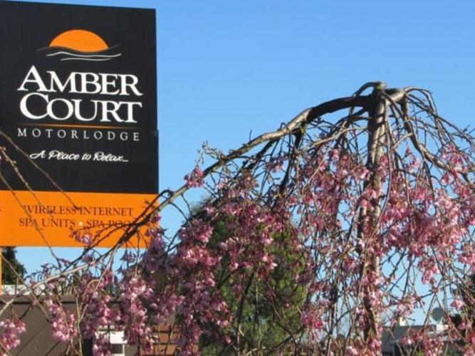 琥珀阁汽车旅馆 (amber court motel)