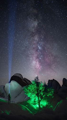 星空 夜晚 树木 石山
