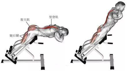 背屈伸(山羊挺身)