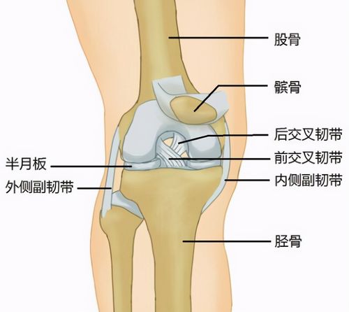膝关节损伤,坑了多少健身运动者?
