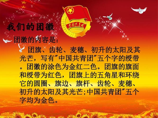 做一名合格的团员