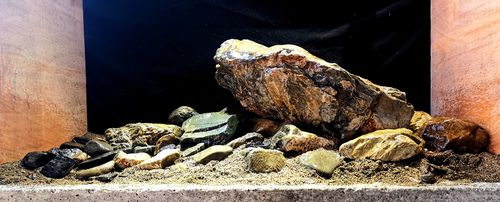 造景三湖溪石鹅卵石原生虾虎缸定制慈鲷鱼缸造景