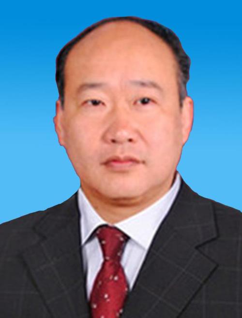 政府领导--武汉市新洲区人民政府