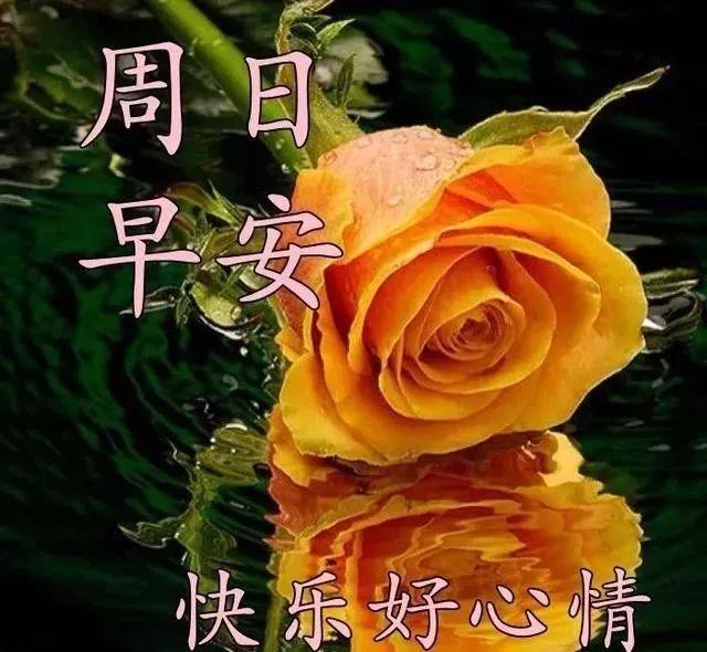 周日祝福图片周末早安问候语