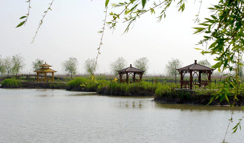 高邮湖芦苇荡湿地公园度假区