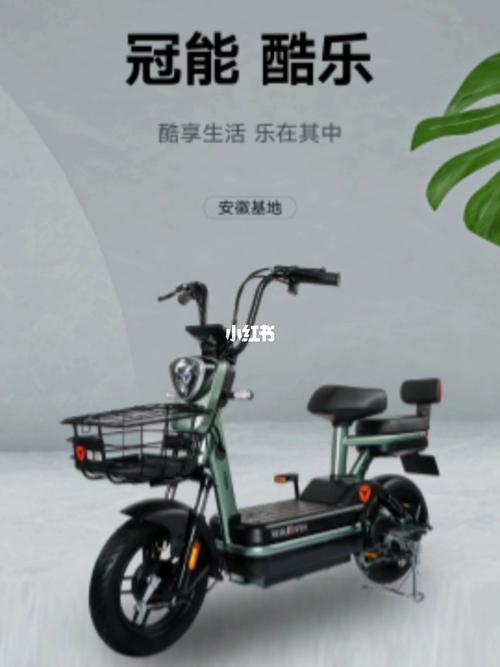 喜提雅迪酷乐冠能版_李晗车业攻略_雅迪怎么样_电动车