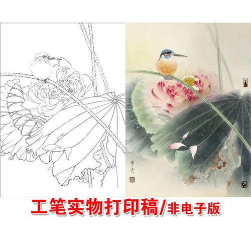 龚雪青荷花翠鸟白描底稿工笔画国画小品临摹打印线稿l