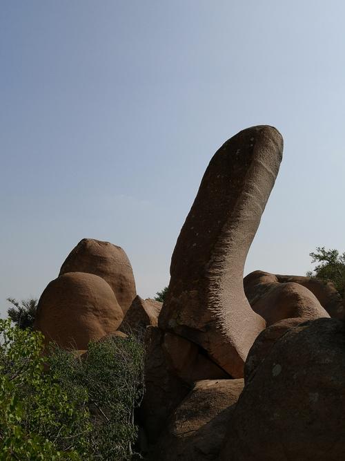 相约盛夏之十一玉龙沙湖四大怪