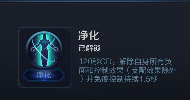 王者荣耀坏不得净化这么冷门除了解控还会增加敌方输出