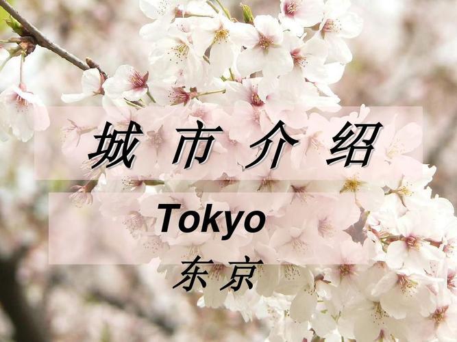 文档下载 所有分类 人文社科 文化/宗教 > 东京介绍城 市 介 绍 tokyo