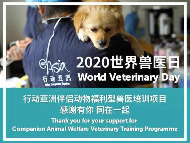 第20个世界兽医日!感谢那些为主子健康付出贡献的兽医