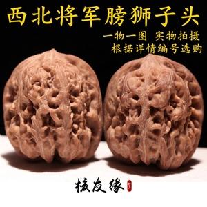 西北将军膀狮子头精品文手把玩麻核桃老树天然野生小众皮质好精配