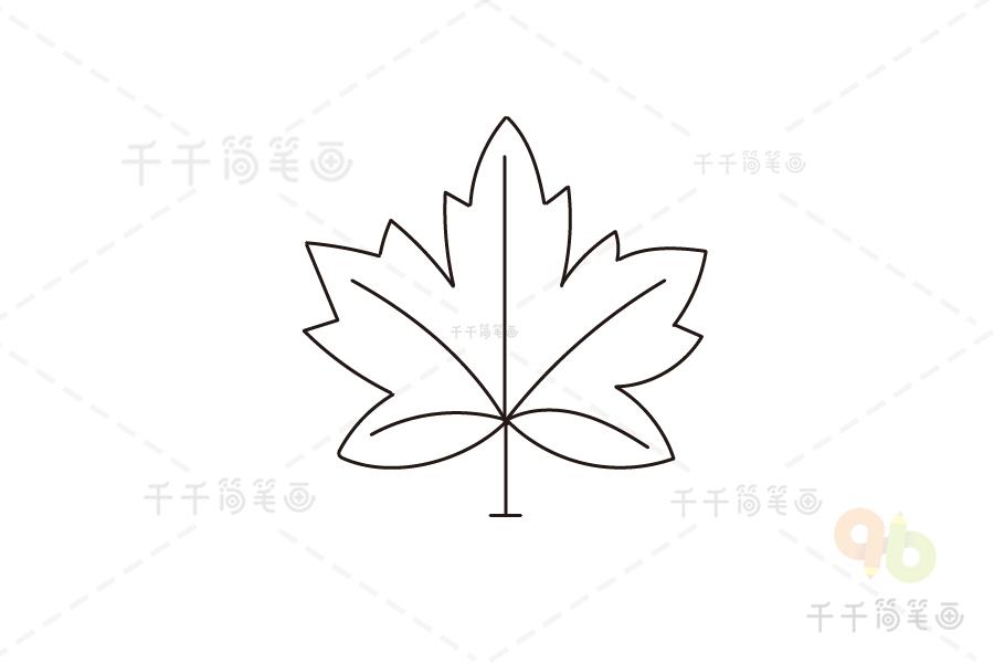 枫叶简笔画图片画法步骤
