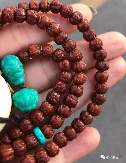 急性子玩友的最爱——"三日红"佛手小金刚