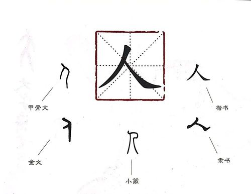图图姐姐带你了解汉字那些事儿——人