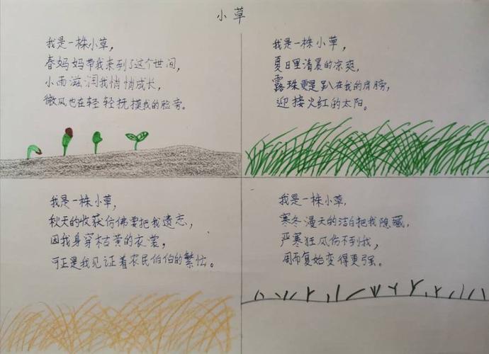 19号 刘梓桐《小草》