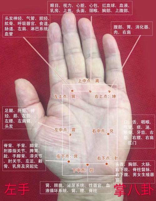 它是真正的全息手针,但是初生的婴儿还有许多不完善.