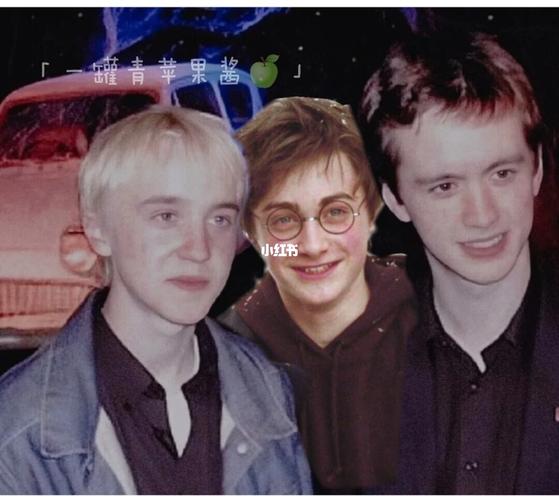 霍格沃茨颜值三巨头_哈利波特_帅哥_影视_电影(图文)