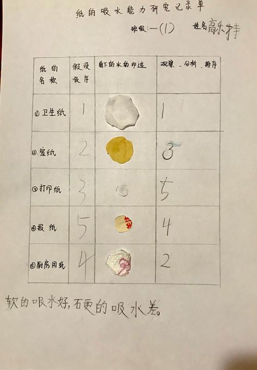 纸的吸水性能力研究记录单