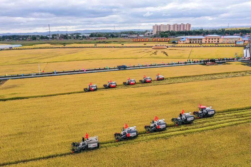 院长李继凯介绍,指标体系构建以农业生产现代化之"强",农民生活现代化