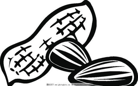 简笔画花生瓜子