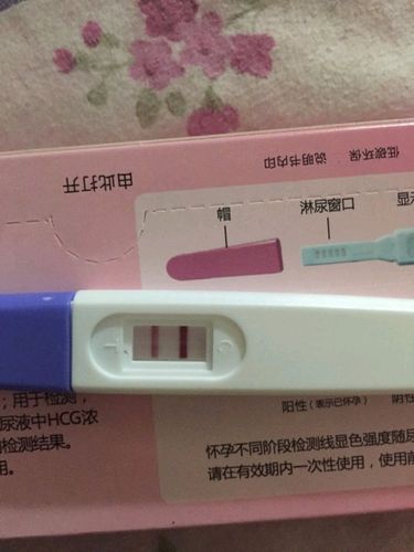 验孕棒怀孕的照片