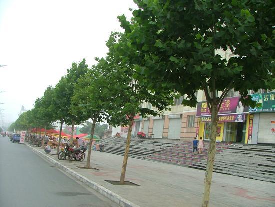 晋城市前进路二区