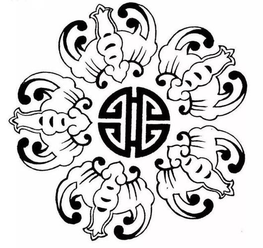 蝙蝠——并非你所知