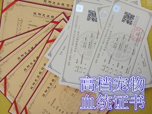 cka纯种犬血统证书狗证书带芯犬证书办理