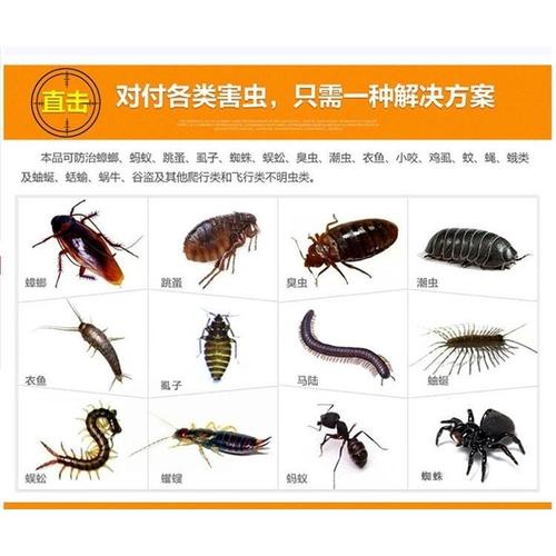 吉平灭粉蟑螂,蚂蚁,臭虫,跳蚤,虱子大量批发 代发 混发