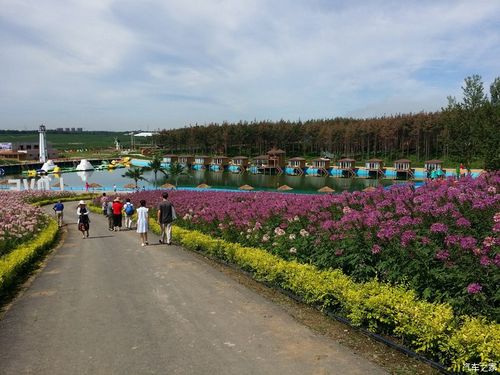 吉林市金珠花海一日游
