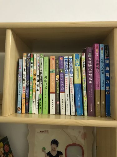 这就是我的图书小天地,它们可都是我的宝贝哟