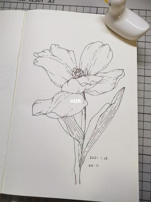 93|速写时间 12/100_花卉_速写_文化_绘画