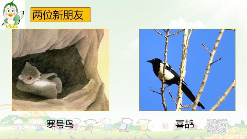 寒号鸟 一ppt课件